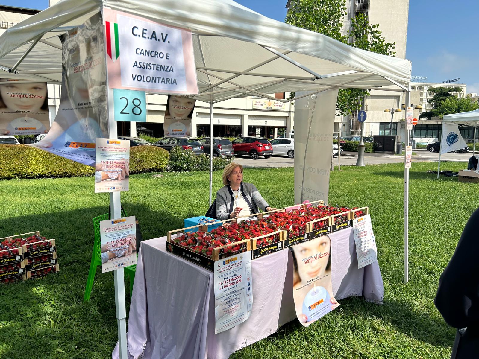 Festa delle Associazioni - Abano Terme